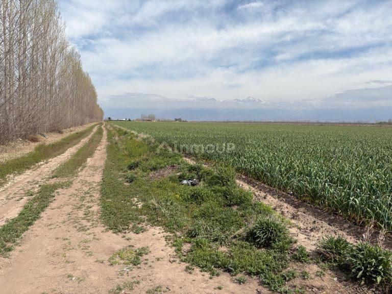 Finca en Venta en Tunuyan, Mendoza