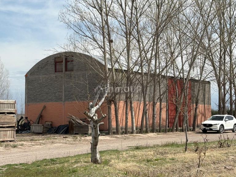 Finca en Venta en Tunuyan, Mendoza