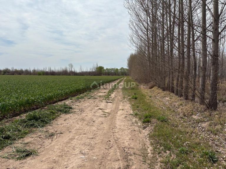 Finca en Venta en Tunuyan, Mendoza