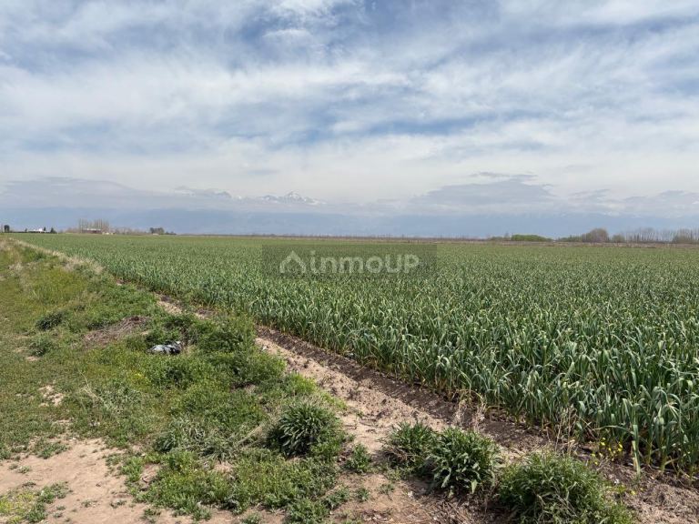 Finca en Venta en Tunuyan, Mendoza