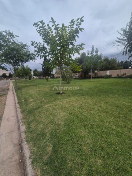 Lote en Venta en Maipu, Mendoza