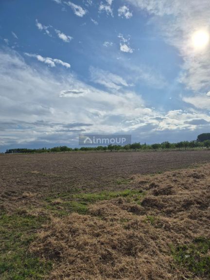 Finca en Venta en Tupungato, Mendoza