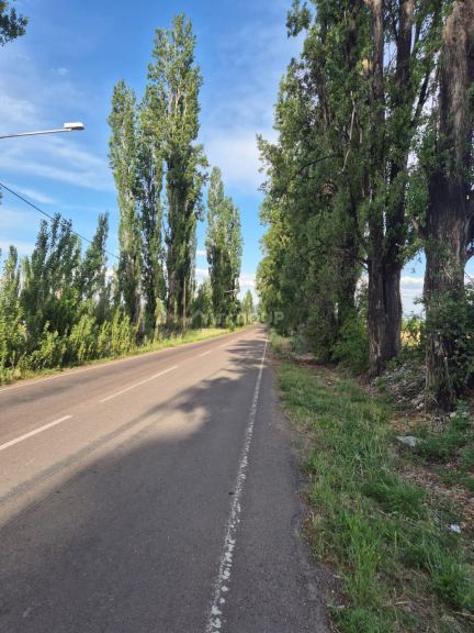 Finca en Venta en Tupungato, Mendoza