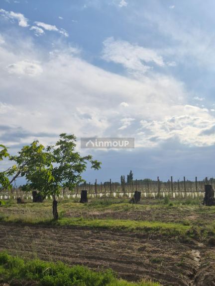 Finca en Venta en Tupungato, Mendoza