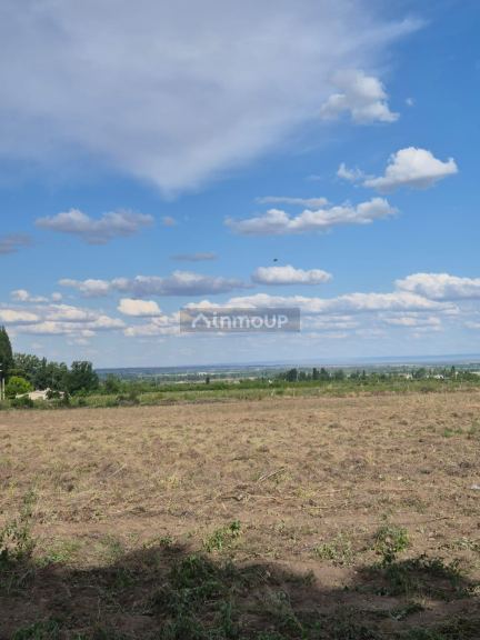 Finca en Venta en Tupungato, Mendoza