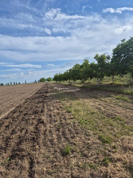 Finca en Venta en Tupungato, Mendoza