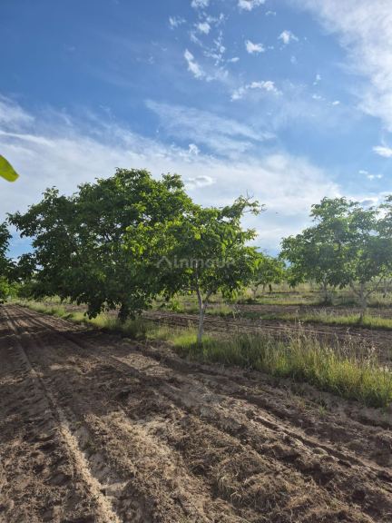 Finca en Venta en Tupungato, Mendoza