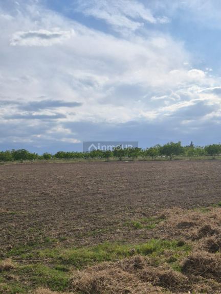 Finca en Venta en Tupungato, Mendoza