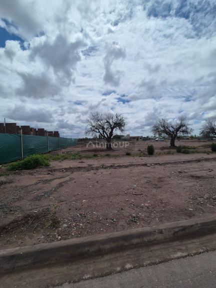 Lote en Venta en Maipu, Mendoza