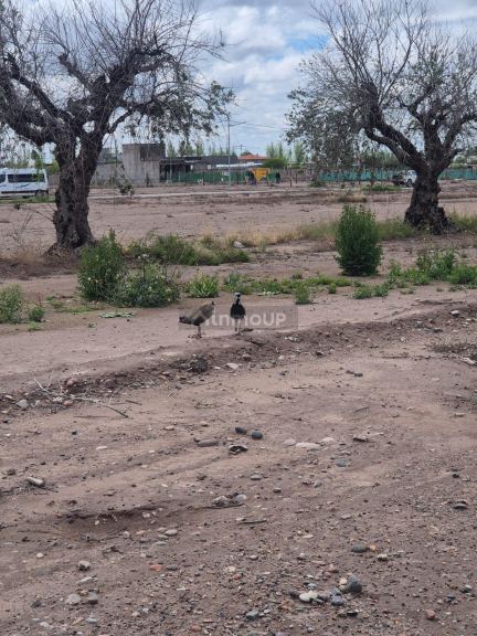 Lote en Venta en Maipu, Mendoza