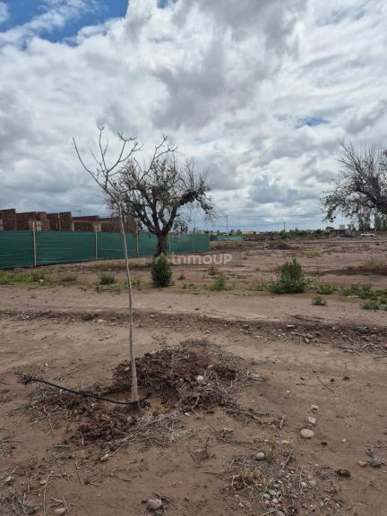 Lote en Venta en Maipu, Mendoza