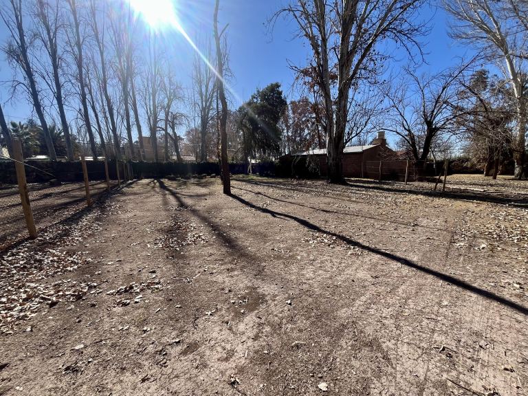 Lote en Venta en Lujan de Cuyo, Mendoza
