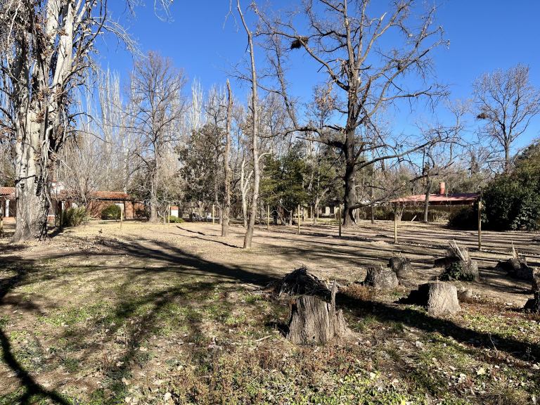 Lote en Venta en Lujan de Cuyo, Mendoza
