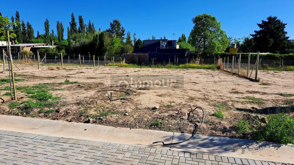 Lote en Venta en Lujan de Cuyo, Mendoza