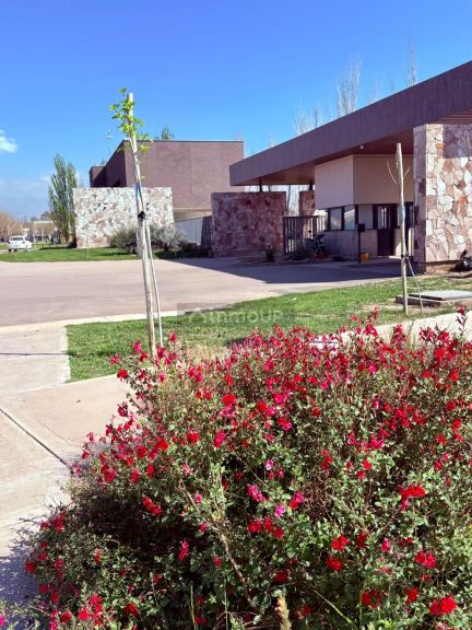 Lote en Venta en Lujan de Cuyo, Mendoza