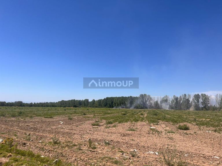 Finca en Venta en Tupungato, Mendoza