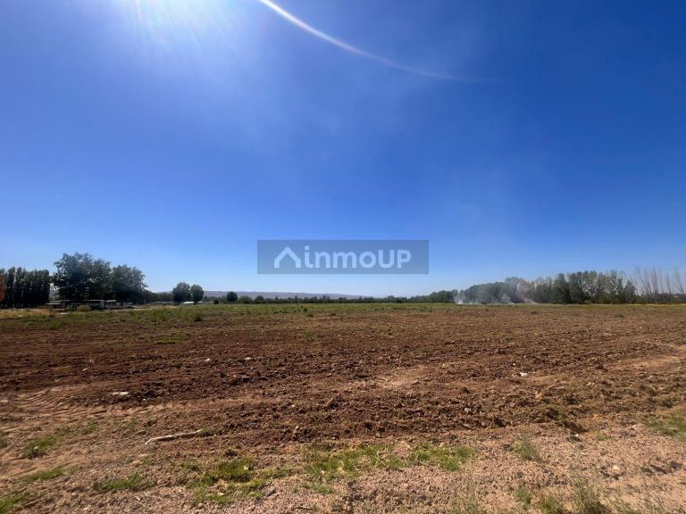 Finca en Venta en Tupungato, Mendoza