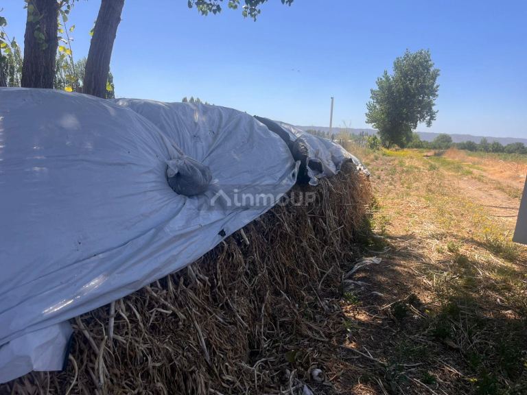 Finca en Venta en Tupungato, Mendoza