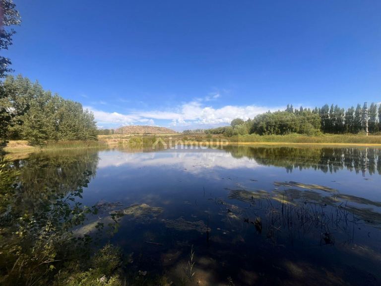 Finca en Venta en Tupungato, Mendoza