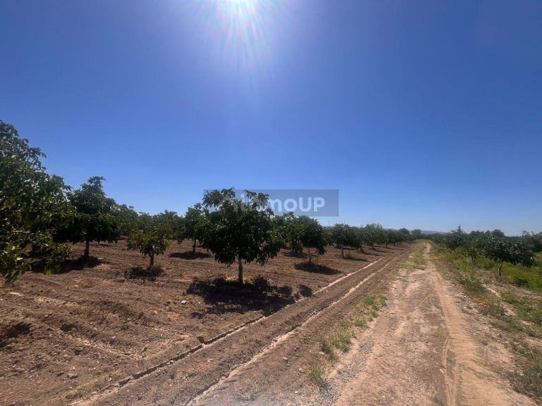 Finca en Venta en Tupungato, Mendoza