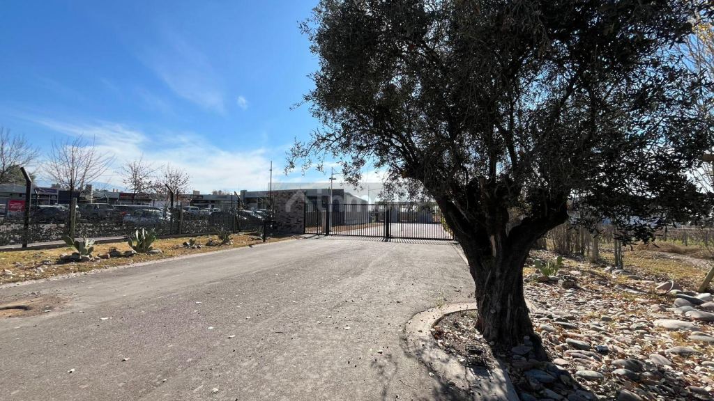 Lote en Venta en Lujan de Cuyo, Mendoza