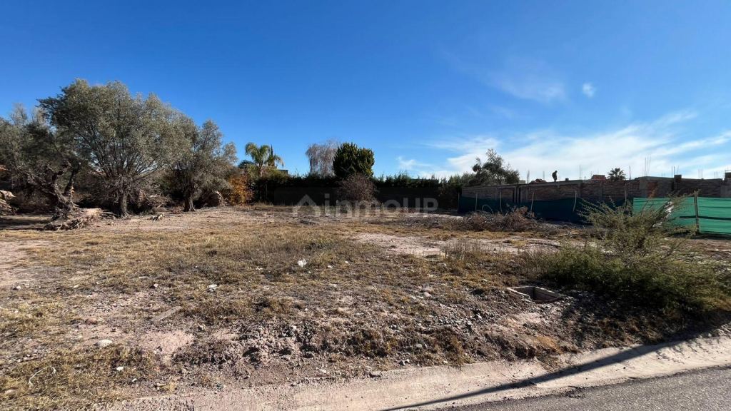 Lote en Venta en Lujan de Cuyo, Mendoza