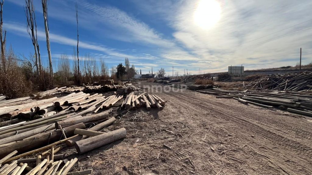 Lote en Venta en Lujan de Cuyo, Mendoza