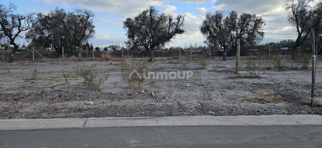 Lote en Venta en Lujan de Cuyo, Mendoza