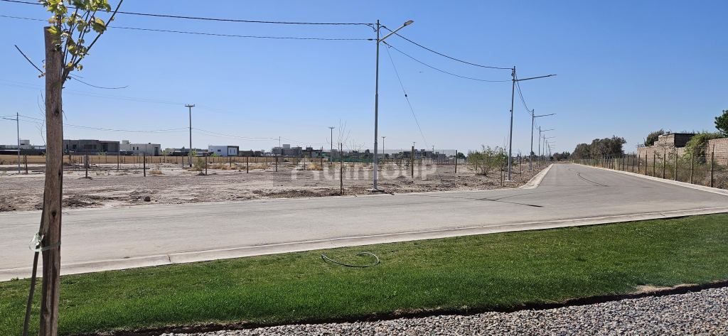 Lote en Venta en Lujan de Cuyo, Mendoza