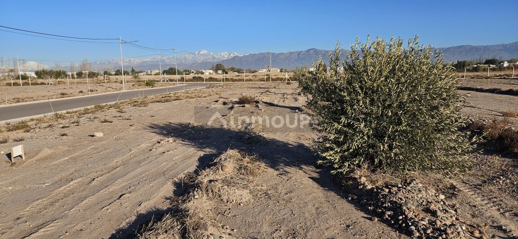 Lote en Venta en Lujan de Cuyo, Mendoza
