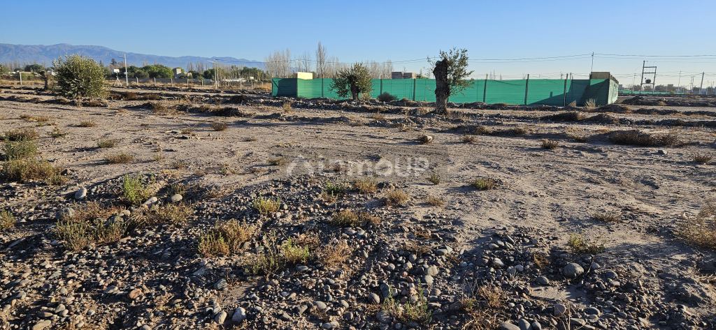 Lote en Venta en Lujan de Cuyo, Mendoza