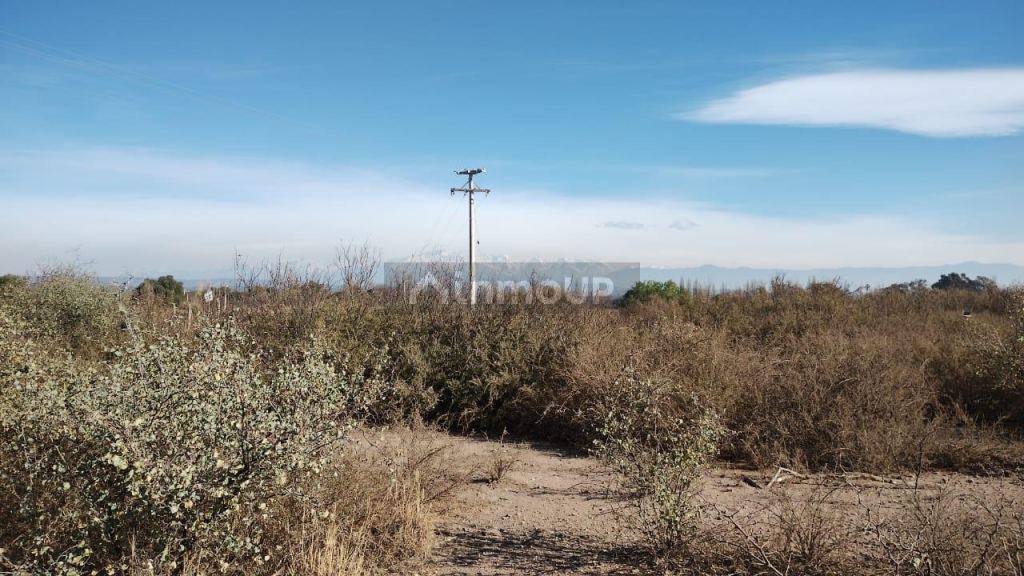 Finca en Venta en Maipu, Mendoza