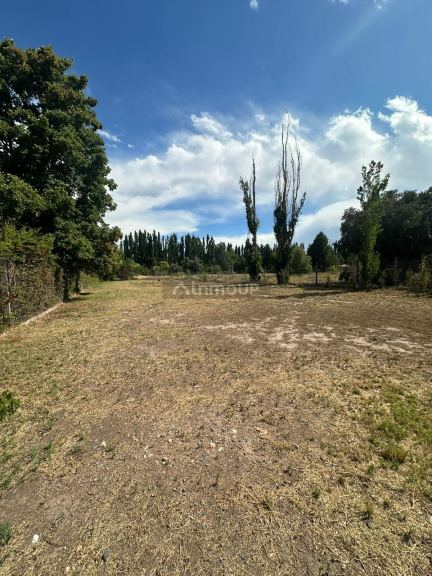 Lote en Venta en Lujan de Cuyo, Mendoza
