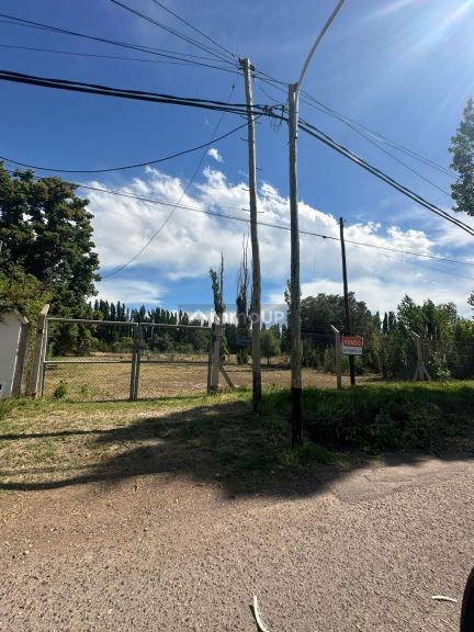 Lote en Venta en Lujan de Cuyo, Mendoza