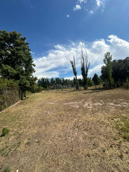 Lote en Venta en Lujan de Cuyo, Mendoza