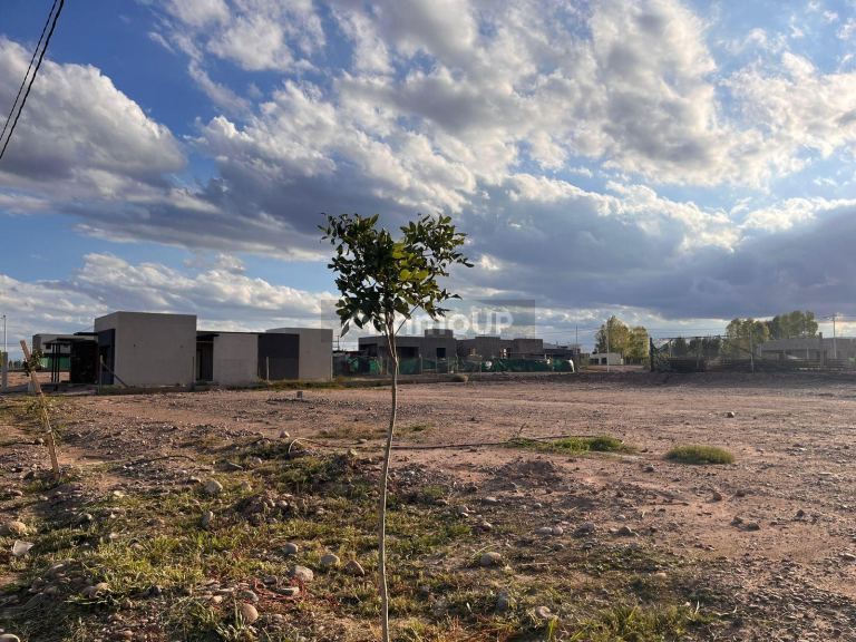 Lote en Venta en Lujan de Cuyo, Mendoza