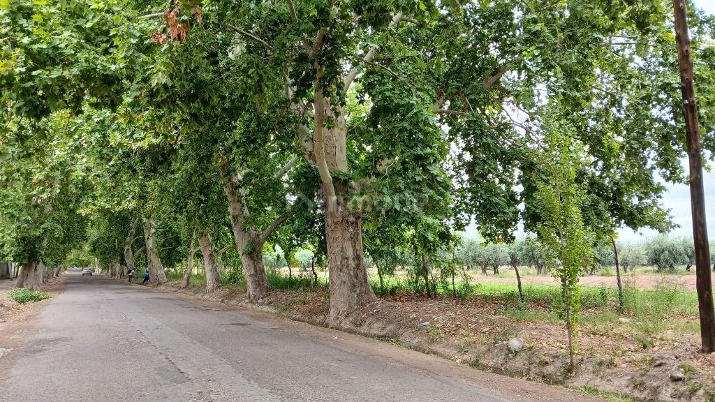 Lote en Venta en Lujan de Cuyo, Mendoza