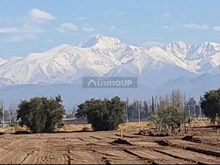 Lote en Venta en Maipu, Mendoza