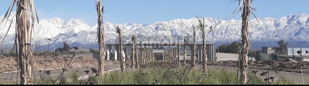 Lote en Venta en Lujan de Cuyo, Mendoza