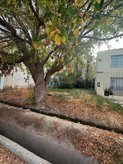 Terreno en Venta en Lujan de Cuyo, Mendoza