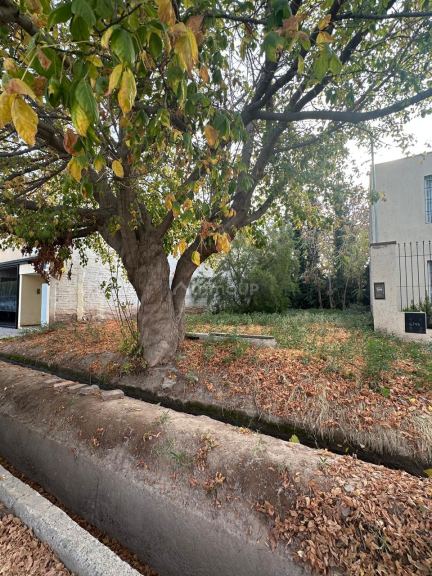 Terreno en Venta en Lujan de Cuyo, Mendoza