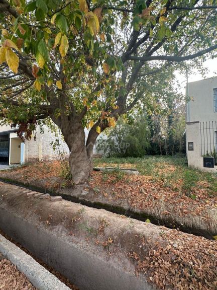 Terreno en Venta en Lujan de Cuyo, Mendoza