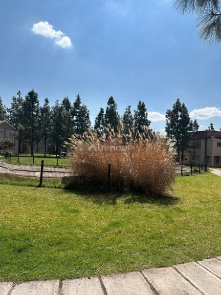 Duplex en Alquiler en Lujan de Cuyo, Mendoza