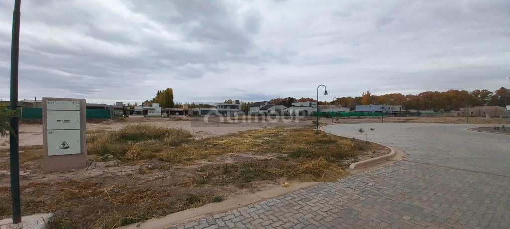 Lote en Venta en Lujan de Cuyo, Mendoza