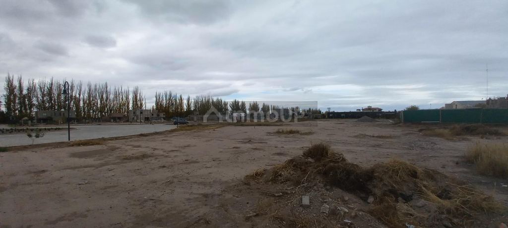 Lote en Venta en Lujan de Cuyo, Mendoza