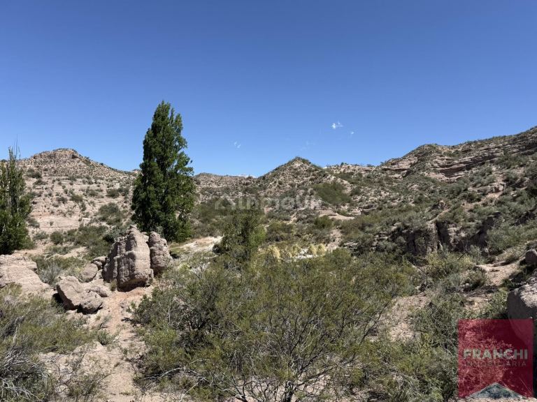 Terreno en Venta en Lujan de Cuyo, Mendoza