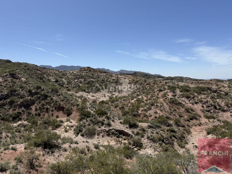 Terreno en Venta en Lujan de Cuyo, Mendoza