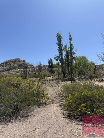 Terreno en Venta en Lujan de Cuyo, Mendoza