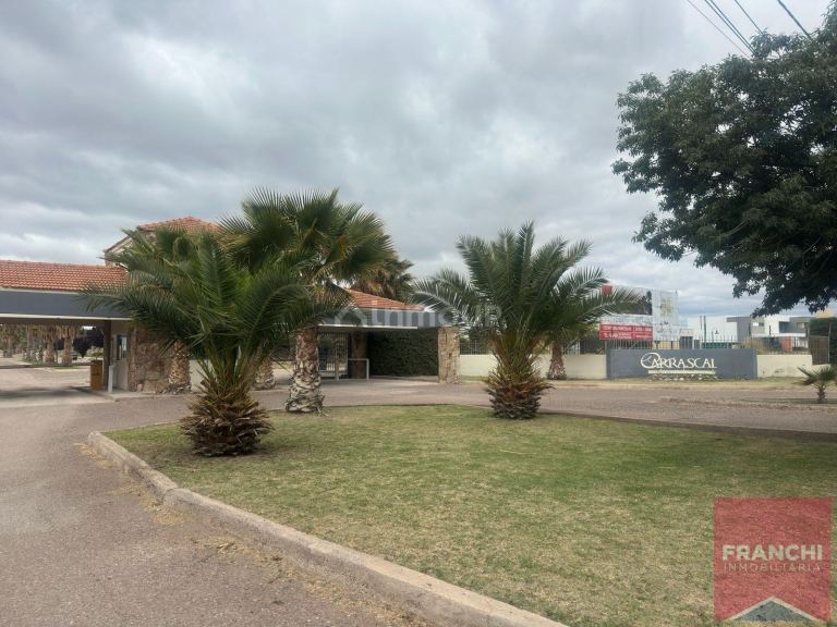 Terreno en Venta en Maipu, Mendoza