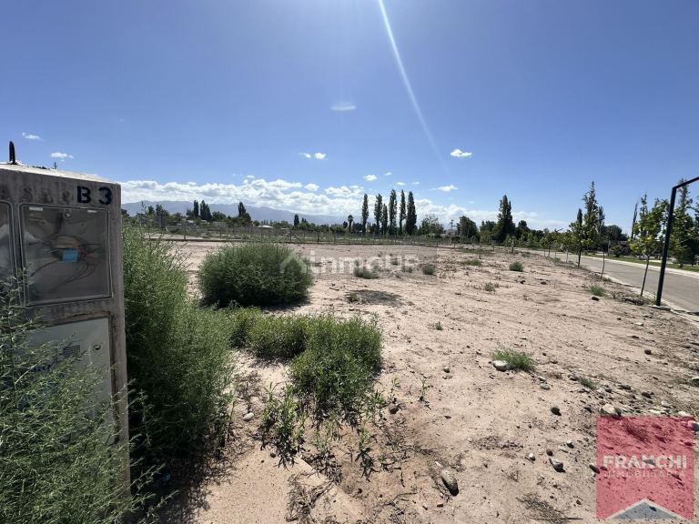 Terreno en Venta en Lujan de Cuyo, Mendoza